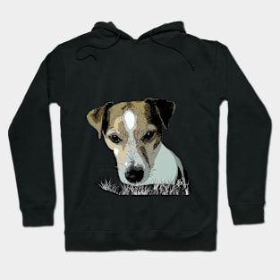 Jake the Jack  Russell Terrier Hoodie